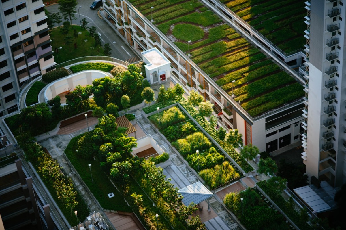 Titelbild zu „Garten-Oasen: Wie Sie Ihre kleine Stadtoasen in grüne Paradiese verwandelt“