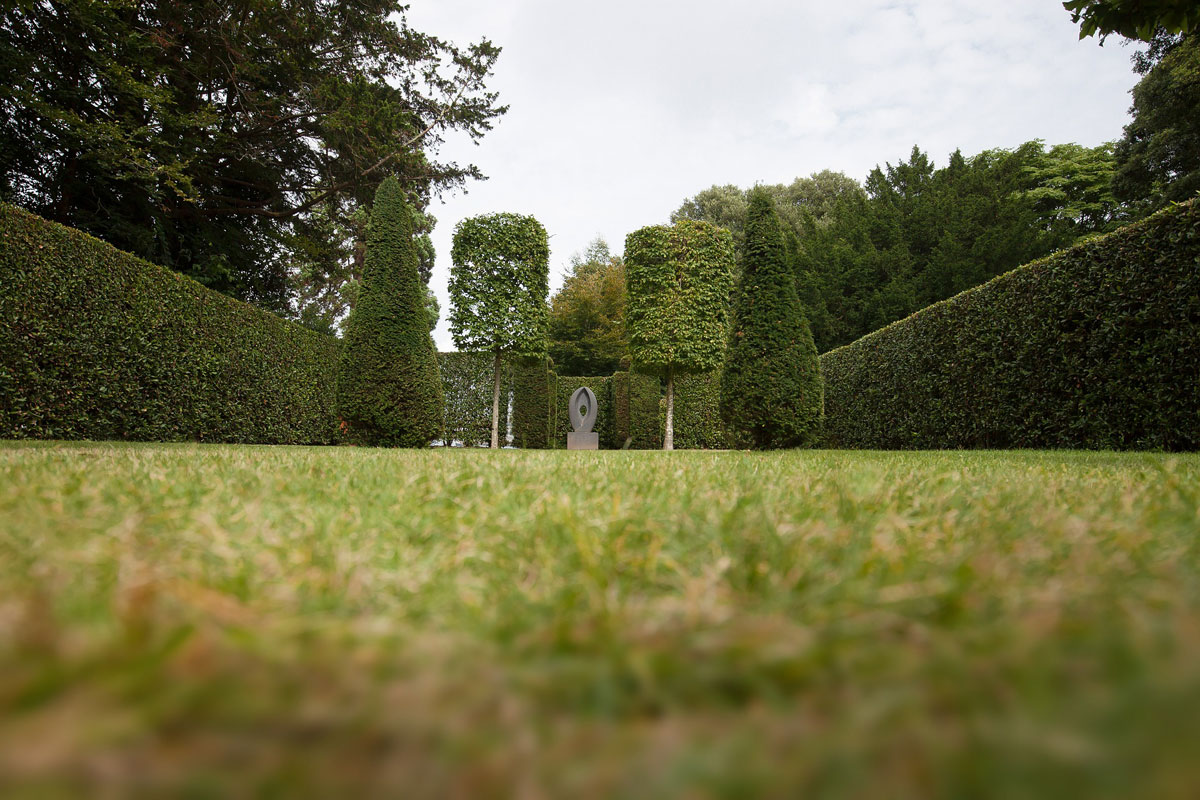 Titelbild zu „Thuja Smaragd im Garten“