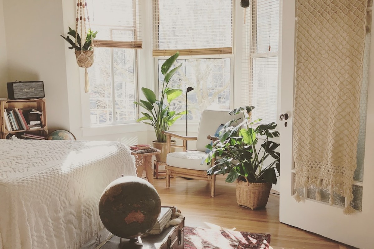 Titelbild zu „Wie Sie mit Grünpflanzen Ihr Interior Design auf das nächste Level heben“